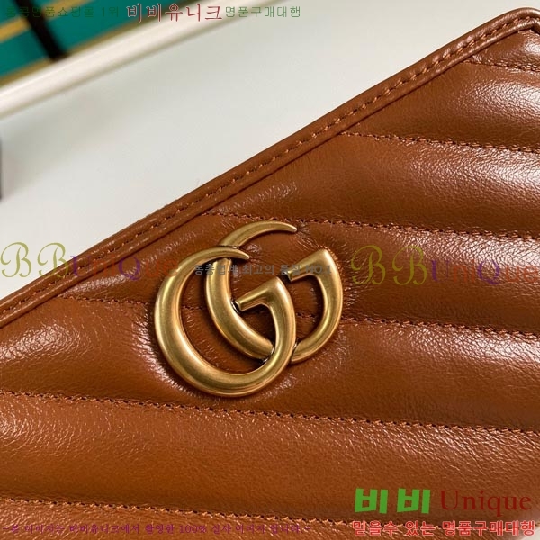 # GG Ʈ  443123-79-1