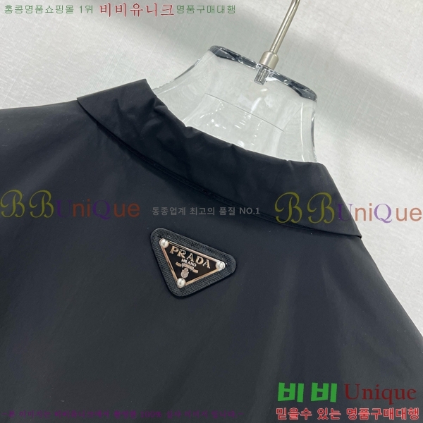   ǽ PR0455450-2