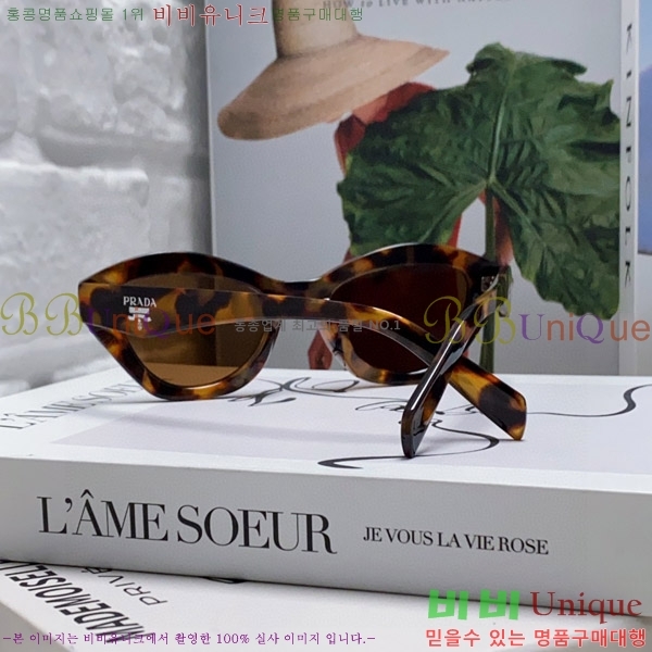 ����� ���۶� P2819066-2