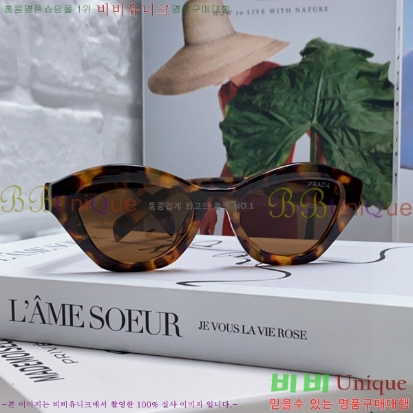 ����� ���۶� P2819066-2