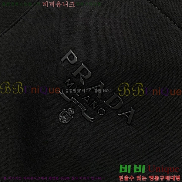    P239241