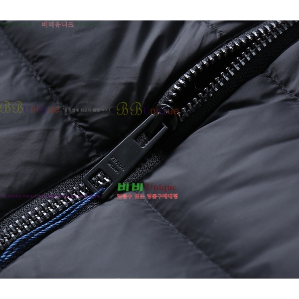 ���� ����� �ٿ� �е� PA254827