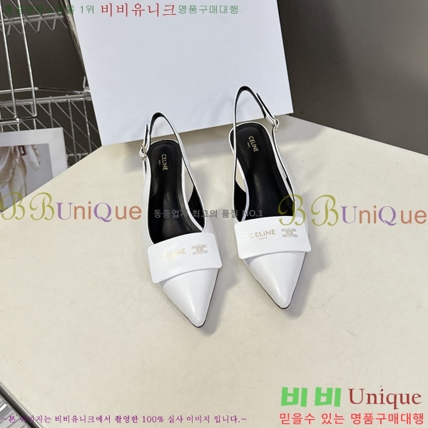 ������ ������ ���� CE2577701-1