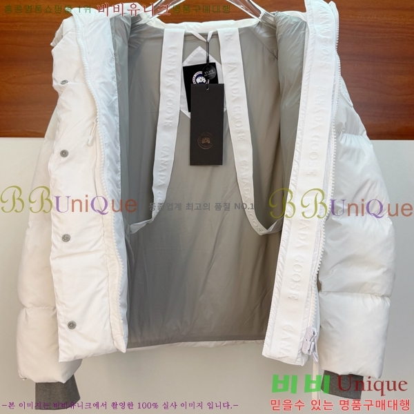 �������� ĳ���ٱ��� �ٿ� �е� CAG215556-2