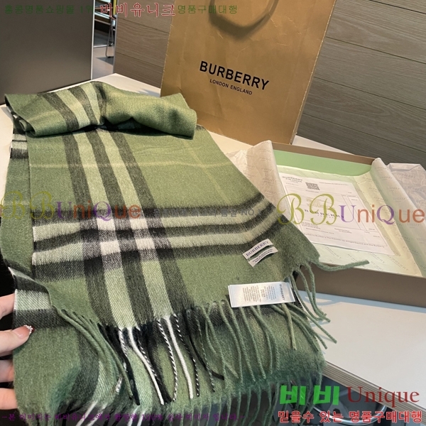 ������ ���÷�/��ī�� BU230R25-3