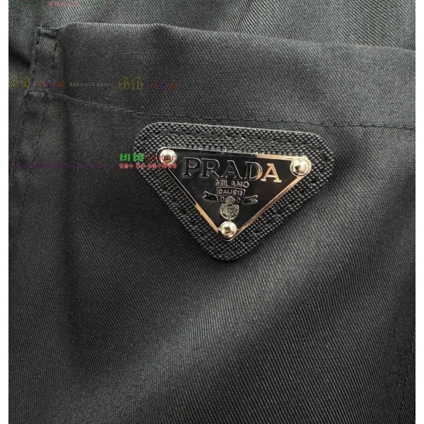 ���� ����� ���� PA168259