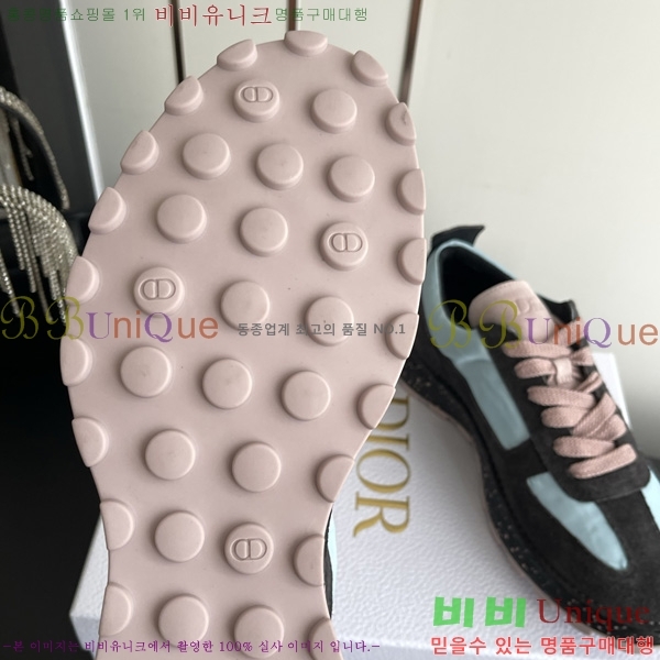 ���� ���  Squash �ȭ 1DR500951-1