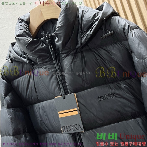 ���� ���� �ٿ� �е� ZN267613-2