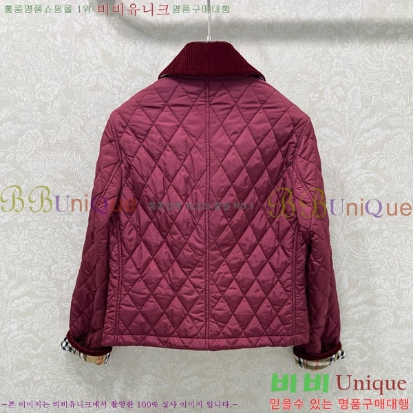 ���� ������ �е� ���� BUR057643-1